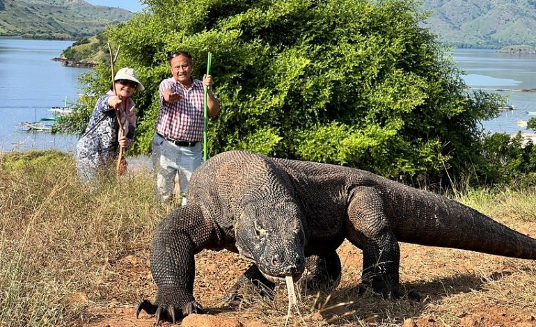 5 Destinasi Wisata Terindah di Asia Tahun 2026