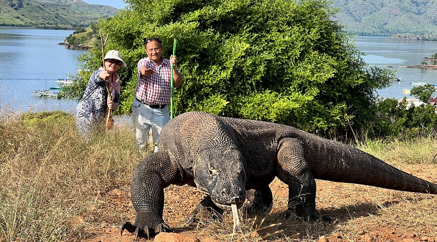 5 Destinasi Wisata Terindah di Asia Tahun 2026